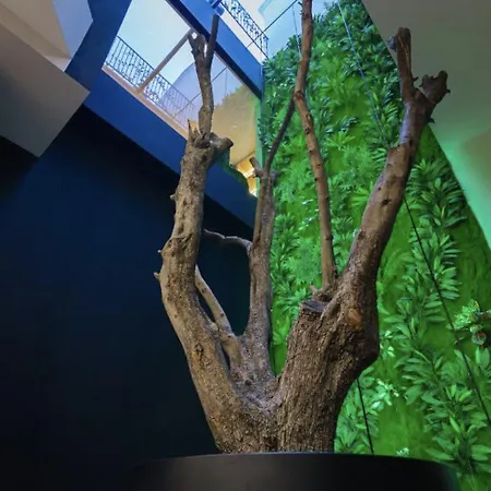 Park Plazza 4* Korce