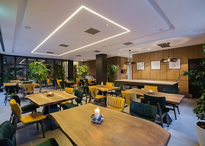 Park Plazza 4* 科尔察