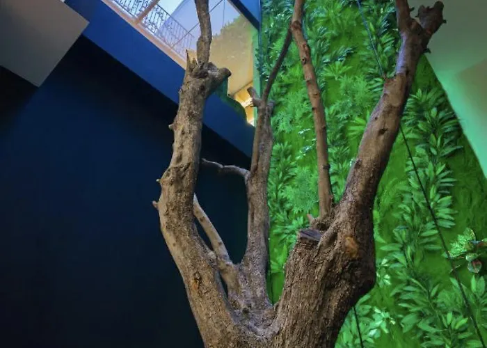 Park Plazza 4* 科尔察